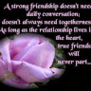 Meet your Posher, Sonja